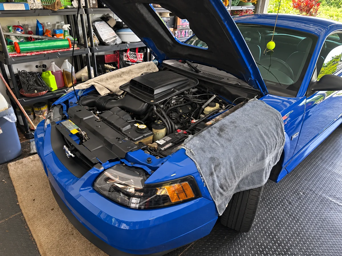 Blue Mustang with its hood raised and protective towels over the fenders during a garage repair